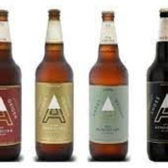 Cerveza Andes x  lt.